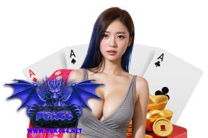 pgk ทางเข้า